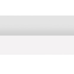 Молдинг DECOMASTER D305 ДМ (61*21*2900 мм)